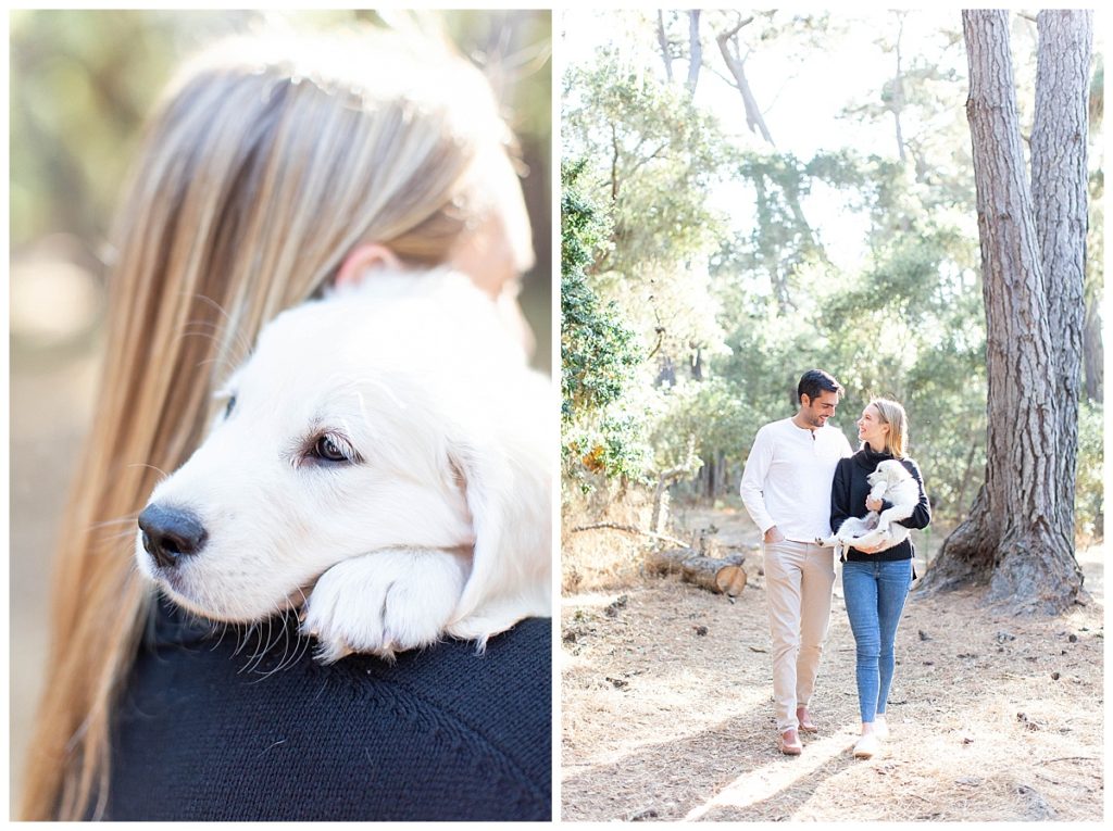 Pet Family Portrait | Monterey Anniversary Session | Laura & Rachel Photography