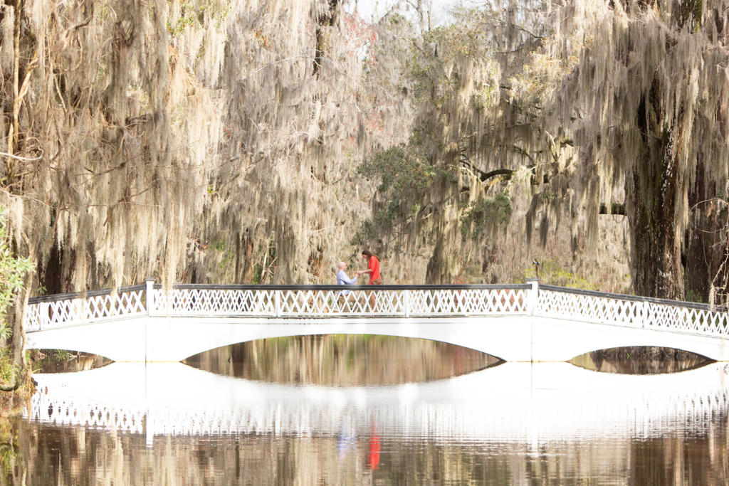 The Best Place to Propose in Charleston - Magnolia Plantation and Garden
