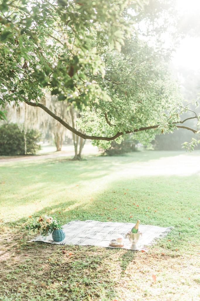 The Best Place to Propose in Charleston - Laura and Rachel Photography - Charleston Proposal Photographers - Charleston Engagement Photographers