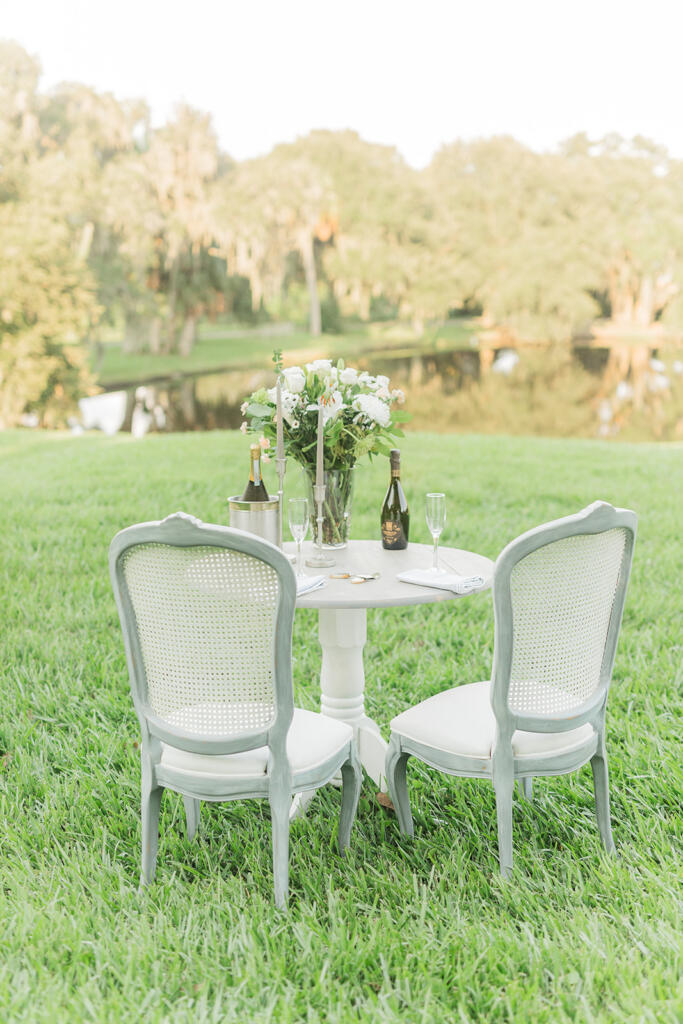 Charleston Proposal photographer, Magnolia Plantation Proposal photographer, Charleston Proposal Planners, Charleston engagement Photographers, Charleston wedding photographers, laura and rachel photography