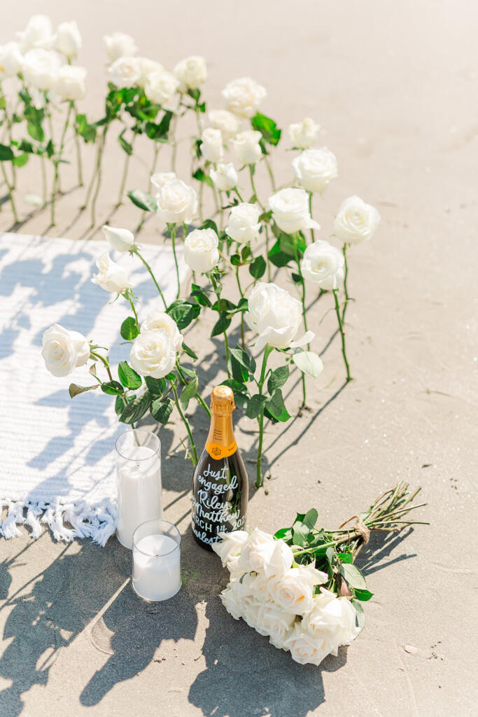 Charleston Proposal photographer, Magnolia Plantation Proposal photographer, Charleston Proposal Planners, Charleston engagement Photographers, Charleston wedding photographers, laura and rachel photography