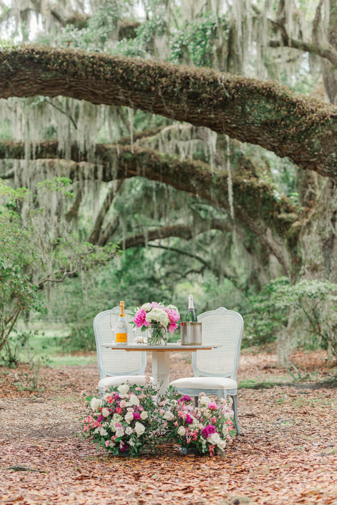 best place to propose in Charleston, Charleston Premier Luxury Proposal Location, Magnolia Plantation Proposal, charleston premier proposal planner, Charleston south carolina, magnolia plantation wedding, white bridge proposal, picnic proposal, proposal photography, under the oaks proposal, laura and rachel photography, charleston proposal photographer, where to propose in Charleston, best places to pop the question in chs, best places to pop the question in Charleston, Best Charleston Proposal Location Ideas, Proposal Locations in Charleston SC, THE BEST PLACES TO PROPOSE AROUND CHARLESTON SOUTH CAROLINA,