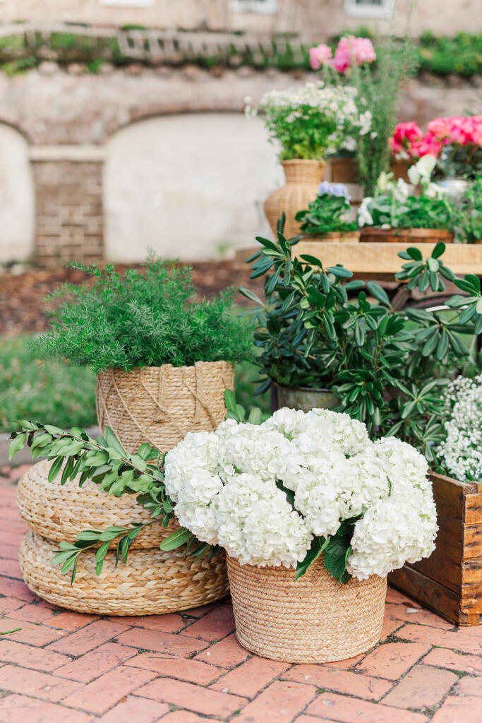 best place to propose in Charleston, flower cart proposal, Charleston flower cart, charleston floral cart, floral cart proposal, bicycle table proposal, unique proposal ideas, Charleston Premier Luxury Proposal Location, charleston proposal planner, Charleston south carolina, proposal photography, under the oaks proposal, laura and rachel photography, charleston proposal photographer, where to propose in Charleston, best places to pop the question in chs, best places to pop the question in Charleston, Best Charleston Proposal Location Ideas, Proposal Locations in Charleston SC, THE BEST PLACES TO PROPOSE AROUND CHARLESTON SOUTH CAROLINA, washington square proposal, charleston wedding Photographer, charleston engagement session, charleston engagement photographer, adorn charleston, custom champagne bottle