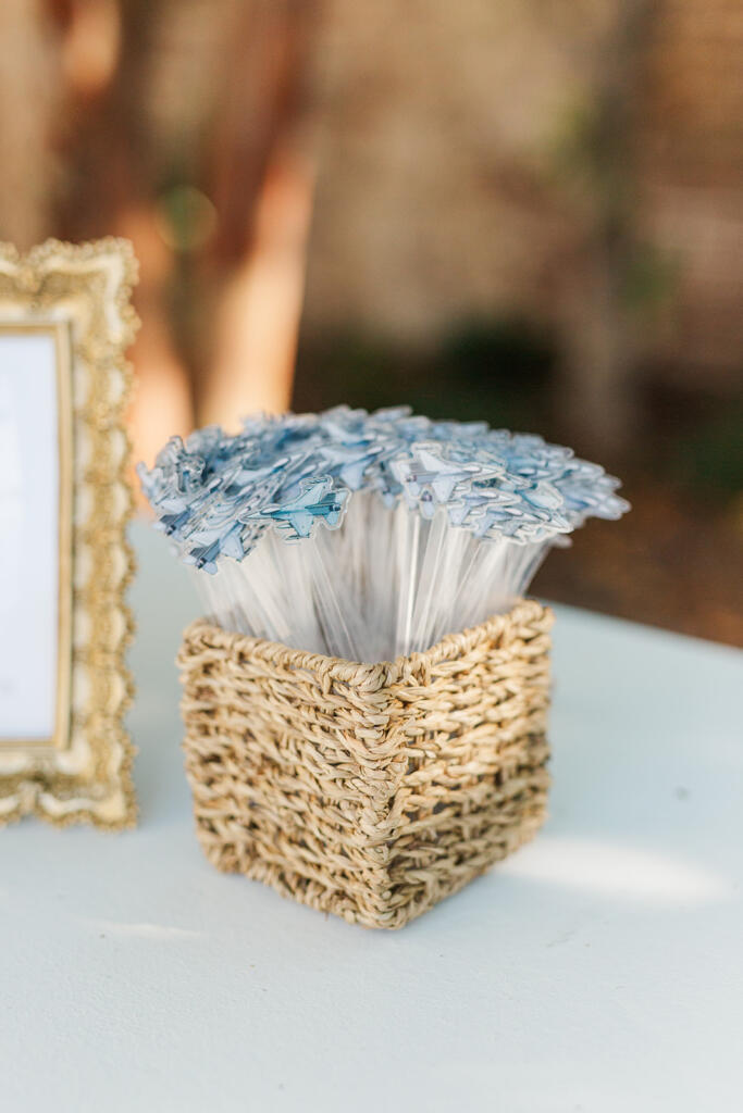 Charleston Wedding Photographer, the Gadsden house wedding photographer, Charleston wedding, Mount pleasant presbyterian church wedding photographer, Charleston luxury wedding photographer, Charleston black tie wedding, Laura and Rachel Photography, outdoor wedding, church wedding, charleston photographers, charleston proposal photographers, photographers charleston sc, charleston sc photographers, charleston wedding photographers, proposal photographer charleston sc, charleston wedding photographer, charleston proposal photographer