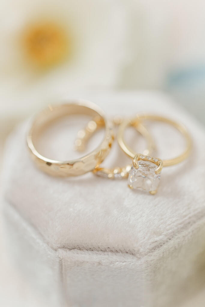 Charleston Wedding Photographer, the Gadsden house wedding photographer, Charleston wedding, Mount pleasant presbyterian church wedding photographer, Charleston luxury wedding photographer, Charleston black tie wedding, Laura and Rachel Photography, outdoor wedding, church wedding, charleston photographers, charleston proposal photographers, photographers charleston sc, charleston sc photographers, charleston wedding photographers, proposal photographer charleston sc, charleston wedding photographer, charleston proposal photographer