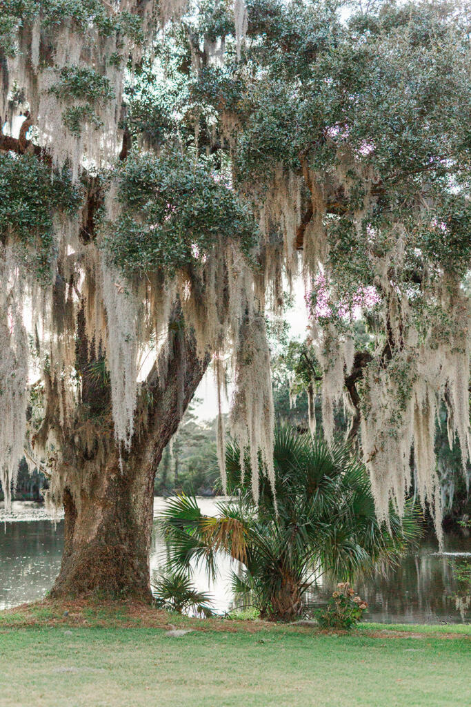 Charleston Wedding Photographer, Legare Waring House wedding photographer, Charleston plantation wedding, Charleston Towne Landing wedding photographer, Charleston luxury wedding photographer, Charleston black tie wedding, Laura and Rachel Photography, outdoor wedding, Charleston wedding, Charleston photographers, Charleston proposal photographers, photographers Charleston sc, Charleston sc photographers, proposal photographer Charleston sc, Charleston wedding photographer, Charleston proposal photographer, YOJ Events,
