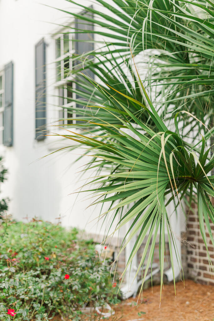 Charleston Wedding Photographer, Legare Waring House wedding photographer, Charleston plantation wedding, Charleston Towne Landing wedding photographer, Charleston luxury wedding photographer, Charleston black tie wedding, Laura and Rachel Photography, outdoor wedding, Charleston wedding, Charleston photographers, Charleston proposal photographers, photographers Charleston sc, Charleston sc photographers, proposal photographer Charleston sc, Charleston wedding photographer, Charleston proposal photographer, YOJ Events,