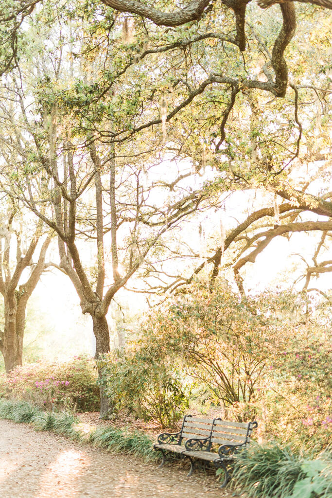 Sunset view over downtown Charleston from a rooftop bar, Romantic candlelit dinner at a Charleston restaurant, Outdoor courtyard dining in downtown Charleston, Champagne toast after a proposal in Charleston SC, Engagement celebration dinner in downtown Charleston, Girls’ weekend brunch in Charleston South Carolina, Charleston proposal photographer, Charleston engagement photographer, Charleston wedding photographer, Laura and Rachel Photography,