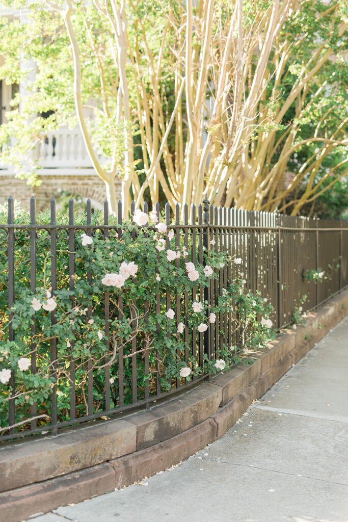 Sunset view over downtown Charleston from a rooftop bar, Romantic candlelit dinner at a Charleston restaurant, Outdoor courtyard dining in downtown Charleston, Champagne toast after a proposal in Charleston SC, Engagement celebration dinner in downtown Charleston, Girls’ weekend brunch in Charleston South Carolina, Charleston proposal photographer, Charleston engagement photographer, Charleston wedding photographer, Laura and Rachel Photography,